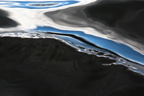 Water Detail, Upland Pond, Sussex County, NJ 09 07 (6958SA).jpg Water Detail, Upland Pond, Sussex County, NJ 09 07 (6958SA).jpg